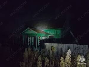 Брянские спасатели вывели трёх человек из огня