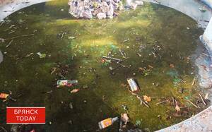 Рассадник грязи вместо фонтана в Брянске: ситуация ухудшается