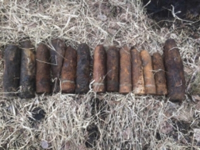 Под Брянском в Домашово нашли авиабомбу, мины и артиллерийские снаряды