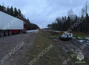 Стали известны подробности смертельного ДТП под Брянском