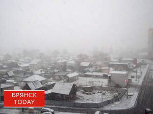 Брянцев предупредили о дожде и мокром снеге 29 апреля
