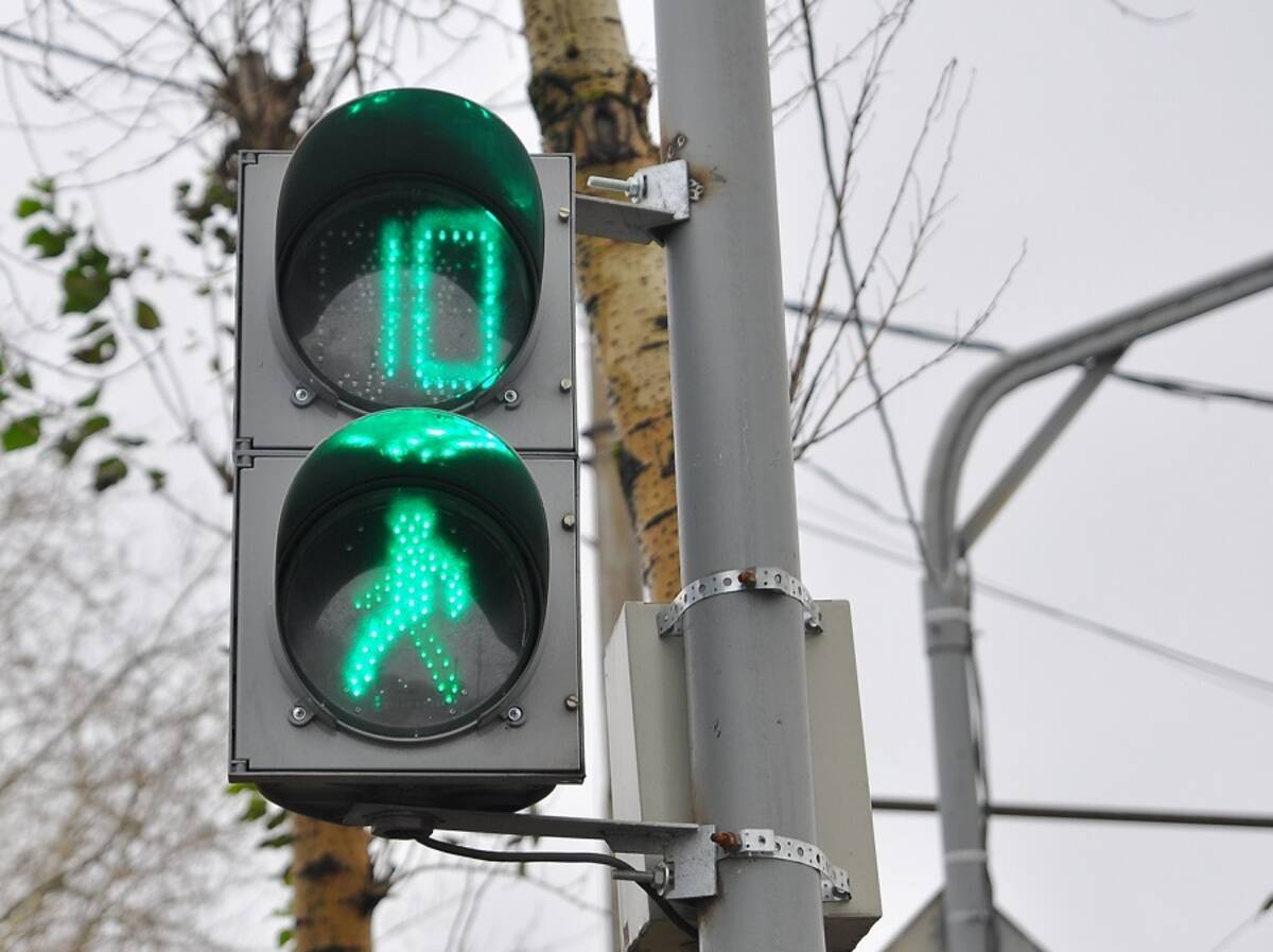 В Брянске стартовало мероприятие «Светофор» | 13.02.2024 | Брянск -  БезФормата