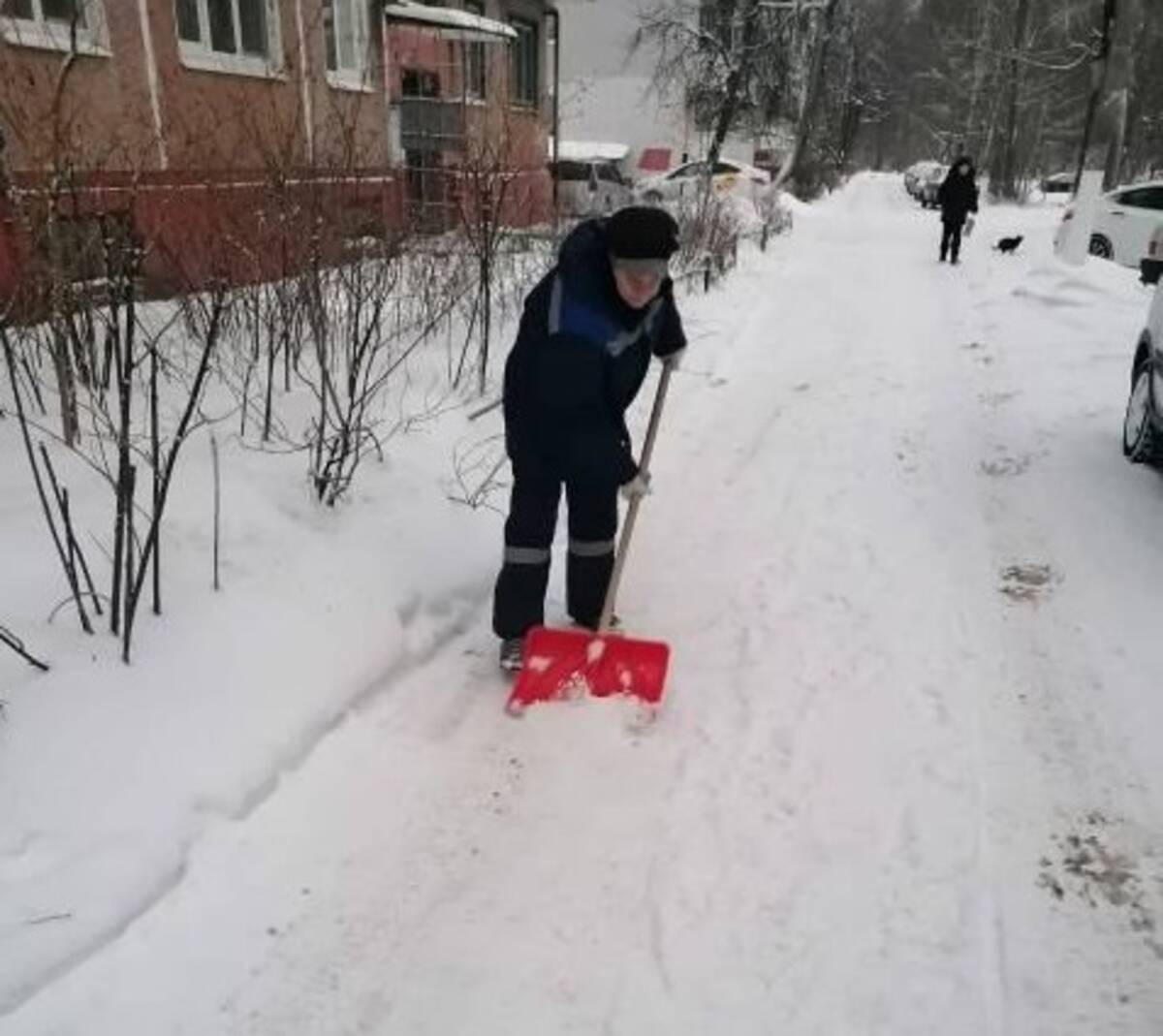 Брянские власти проверят, как УК борются со снегом и гололедом во дворах