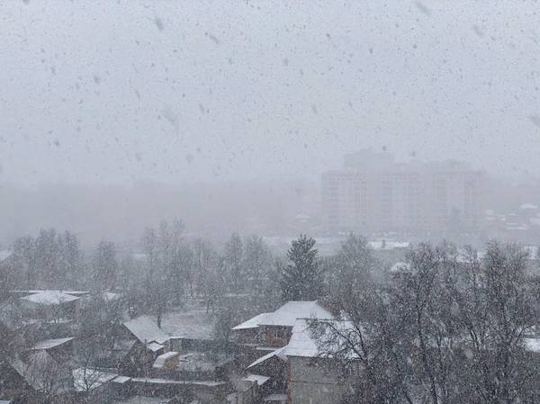 На Брянск обрушилась снежная метель