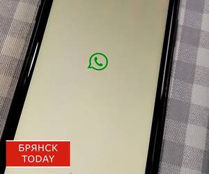 Брянцев успокоили: разговоры о блокировке WhatsApp* назвали преждевременными