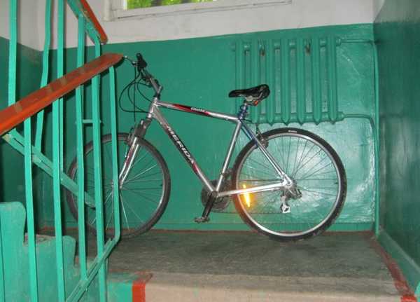 В Белых Берегах из подъезда украли велосипед