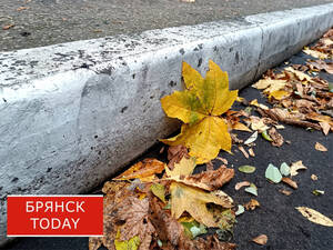 Стало известно, чем удивит погода брянцев 3 ноября