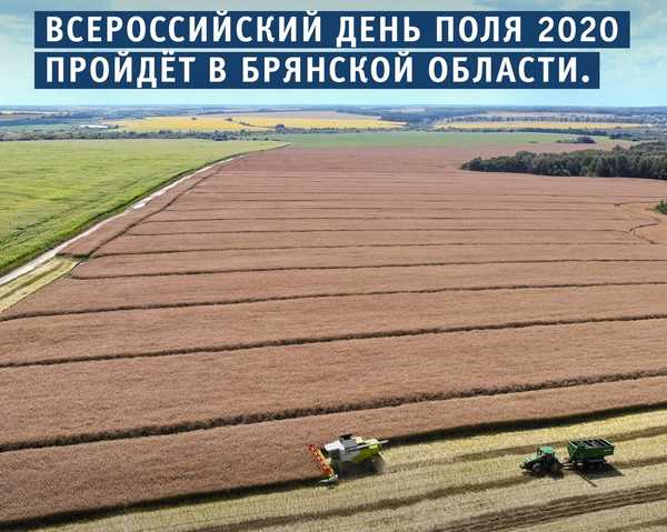 В Брянской области пройдет «Всероссийский день поля-2020»  