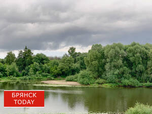Как пережить жару в Брянске: советы и безопасные способы охладиться