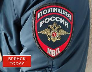 В Жуковке вор-рецидивист украл у пенсионерки триммер и флягу