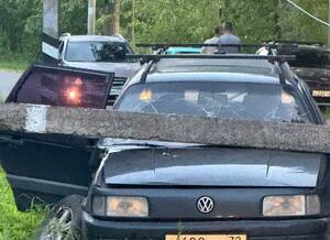 В Брянской области на автомобиль упал столб