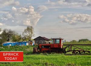 В Брянской области выборочно обследуют личные подсобные хозяйства