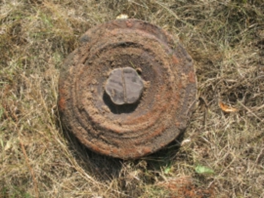 В Навлинском районе нашли противотанковую мину