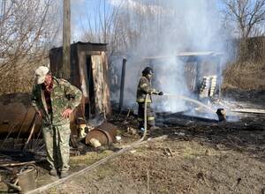 В Радице-Крыловке неизвестные подожгли траву у жилых домов