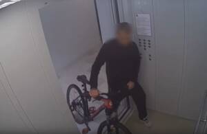 Брянский веловор не рассчитал силы и рухнул в кусты