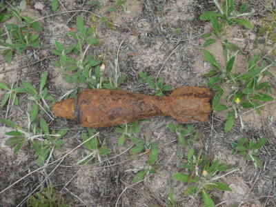 Под Трубчевском в лесу нашли артиллерийский снаряд