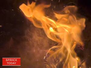 В Брянской области после 203 дней завершился пожароопасный сезон