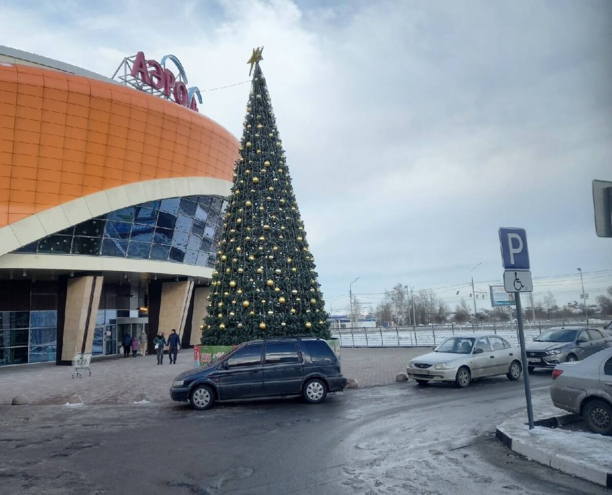 В Брянске у ТРЦ «Аэропарк» появилась новогодняя елка
