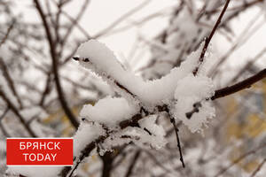 Вновь опасно: брянцев предупредили о суровом погодном явлении