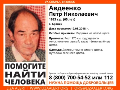 В Брянске ищут пропавшего 65-летнего Петра Авдеенко