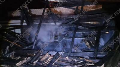 При пожаре в Новозыбкове погибли мужчина и ребёнок