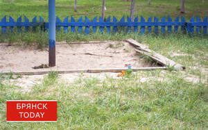 В брянских лагерях отдохнуло меньше детей, чем в прошлом году