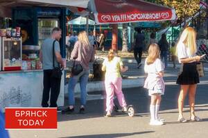 Земли и машины многодетных брянских семей защитят от изъятия