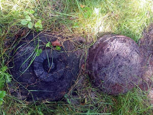 Два исторических взрыва могли прогреметь в Карачевском районе