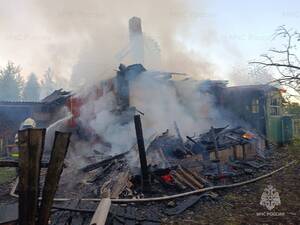 В брянском селе дотла сгорел частный жилой дом