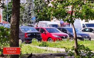 Штрафовать за отсутствие полисов ОСАГО брянцев будут по-новому