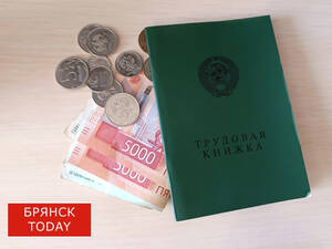 Брянцы могут остаться без пенсионных выплат из-за ошибок в «трудовых»