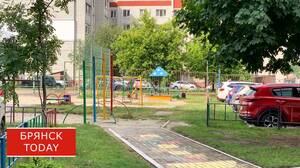 В Госдуме предлагают списывать ипотеку брянцев при рождении третьего ребенка