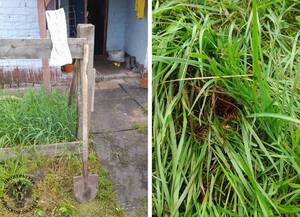 Брянец чудом выжил после удара лопатой по голове