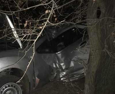 Под Брянском пьяный водитель протаранил в кювете дерево: ранены двое