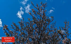 Богомаз объявил об отбое ракетной опасности в Брянской области