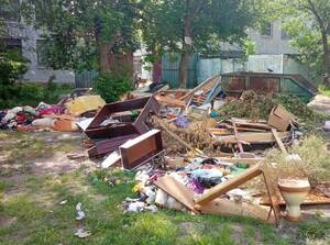 В Брянске «свиньи» постоянно устраивают свалку на улице Клинцовской