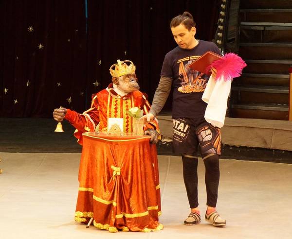 В Брянске провели открытую репетицию новой программы «Звезды мирового цирка»