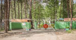 Новые пешеходные дорожки пообещали «Искорке» власти Брянска