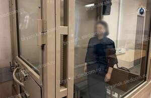 В Брянске возбуждено новое уголовное дело о поставке некачественных аппаратов ИВЛ