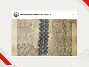 Жителей Навли призвали отложить работы на огородах из-за взрывных устройств