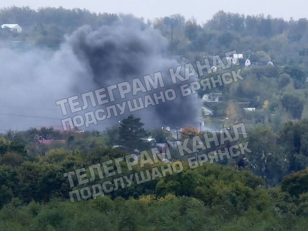 В брянских Бордовичах загорелся дачный дом