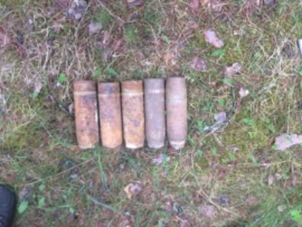 Под Жуковкой нашли 5 артиллерийских снарядов