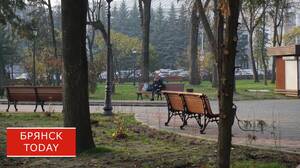 В Брянской области началось предзимье