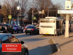 В Брянске наказали водителя и пассажира за веселые ночные 