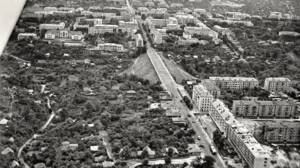 Брянцам показали архивное фото проспекта Ленина