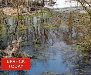 Жителей Брянской области предупредили об ураганном ветре 5 апреля