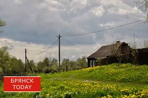 Сельские семьи Брянской области получат новую поддержку