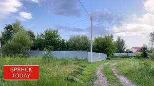 В Брянской области сняли трехлетний карантин по лейкозу КРС