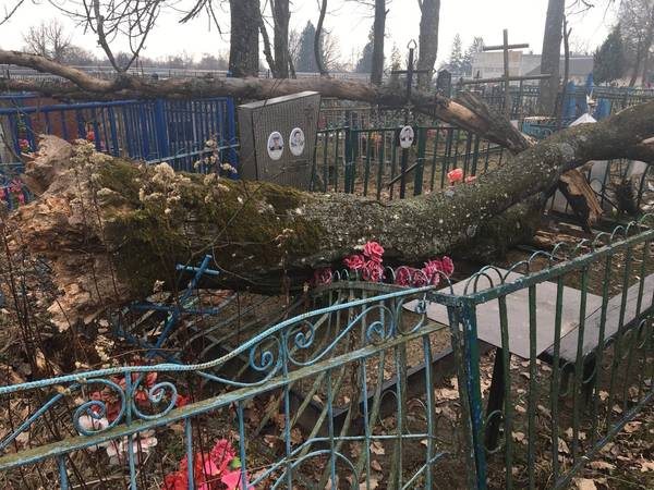 На кладбище под Брянском упавшее дерево разрушило могилы