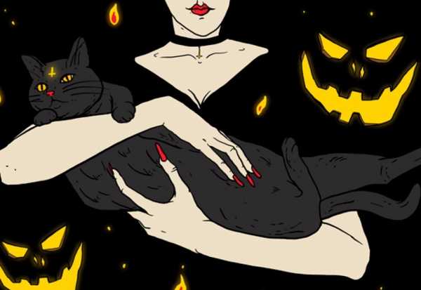 В Брянске из-за Хеллоуина опасаются за жизнь черных кошек